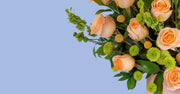 Garden Delight Flower Pot